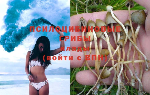 стафф Заволжье