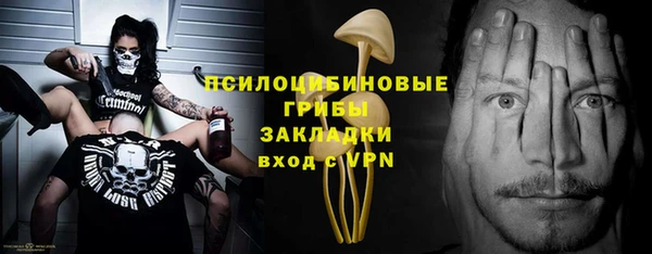 стафф Заволжье
