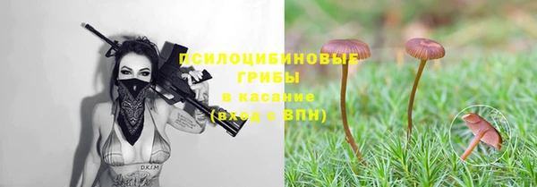 ECSTASY Елизово