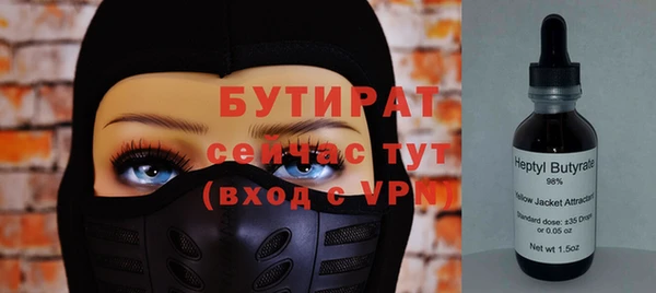 соль ск Ельня