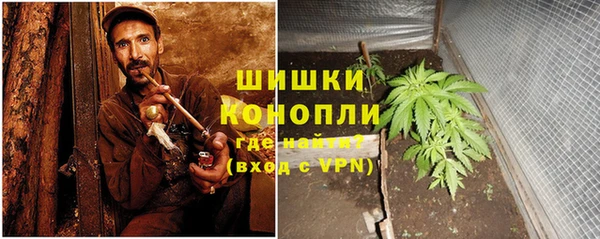 соль курить ск Заводоуковск