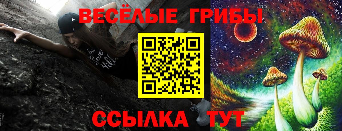 Псилоцибиновые грибы MAGIC MUSHROOMS  Вход с VPN  Барнаул 