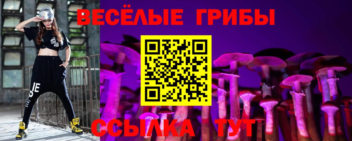 Псилоцибиновые грибы мицелий Барнаул