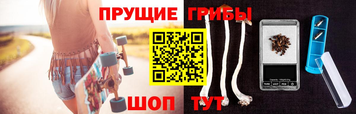 Псилоцибиновые грибы Cubensis Барнаул